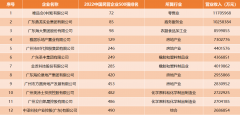 2022中国民营企业500强广州12家企业上榜唯品会、鼎龙实业跻身千亿俱乐部