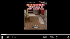 广州一连锁肠粉店被曝老鼠横行 肠粉店：我又不是猫老鼠我抓不了